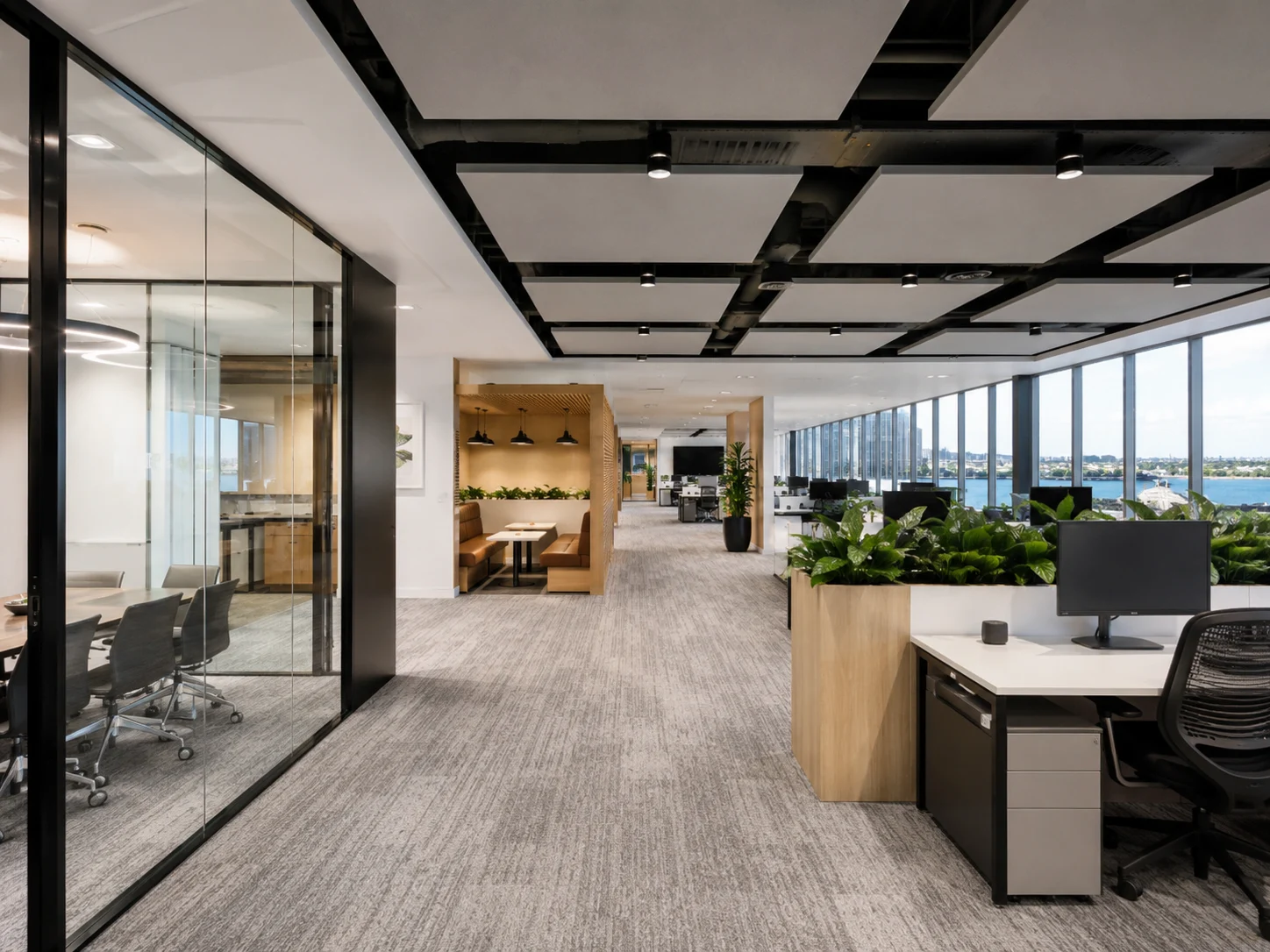 Modern office fitout Sydney open plan workspace with acoustic ceiling panels, collaborative meeting booths and natural light